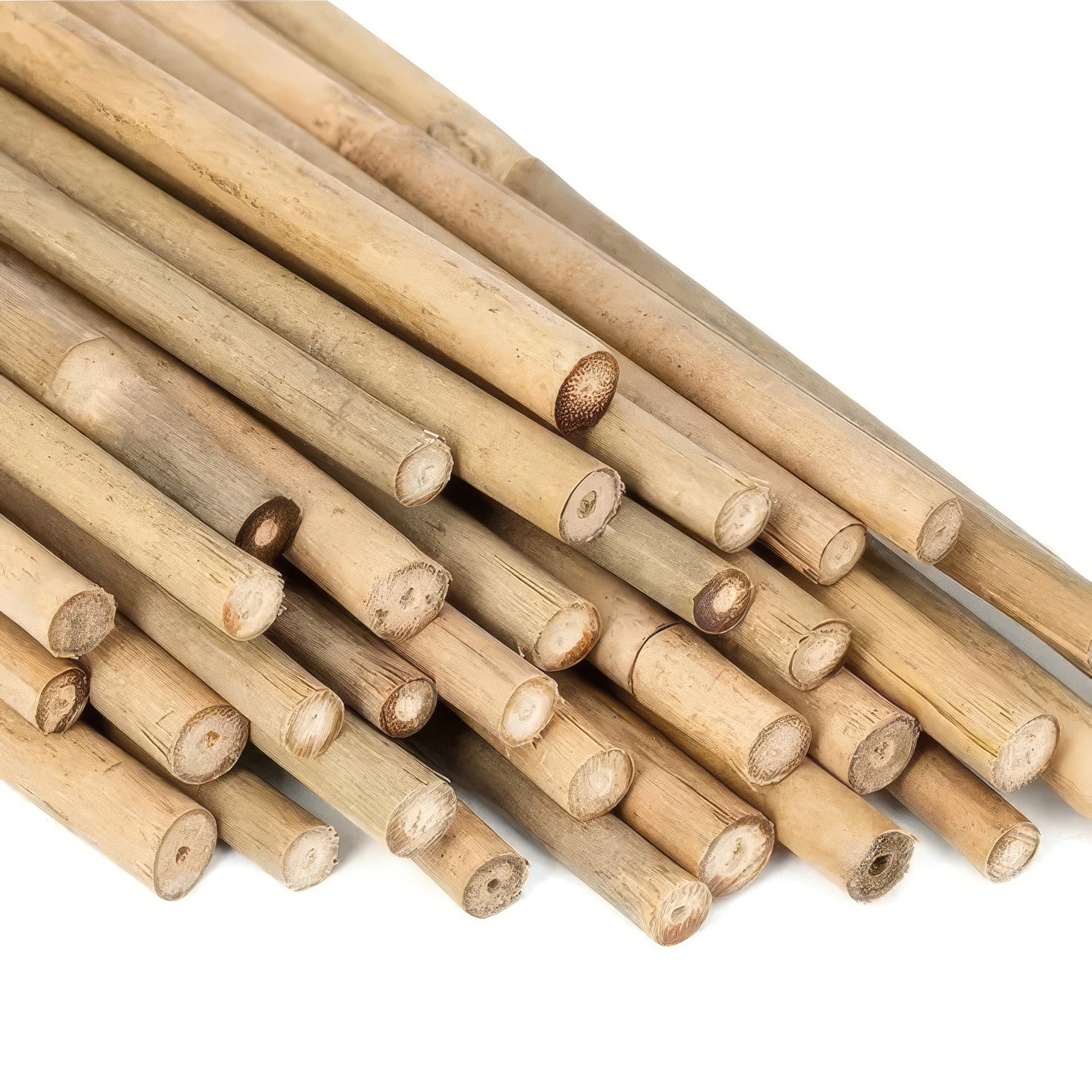 Kit 15 bamboo 110 cm
